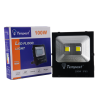 LED Floodlight